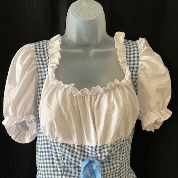 Wizard of Oz ~ Dorothy Halloween Costume ~ Cute - Picture 3 of 9